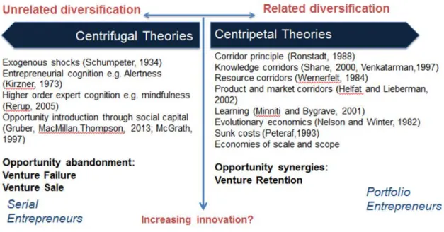 Figure 4.3 Theory of Serial and Portfolio Entrepreneurship: Thematic Framework  In contrast, venture exit and re-entry is the distinguishing feature of serial entrepreneurship