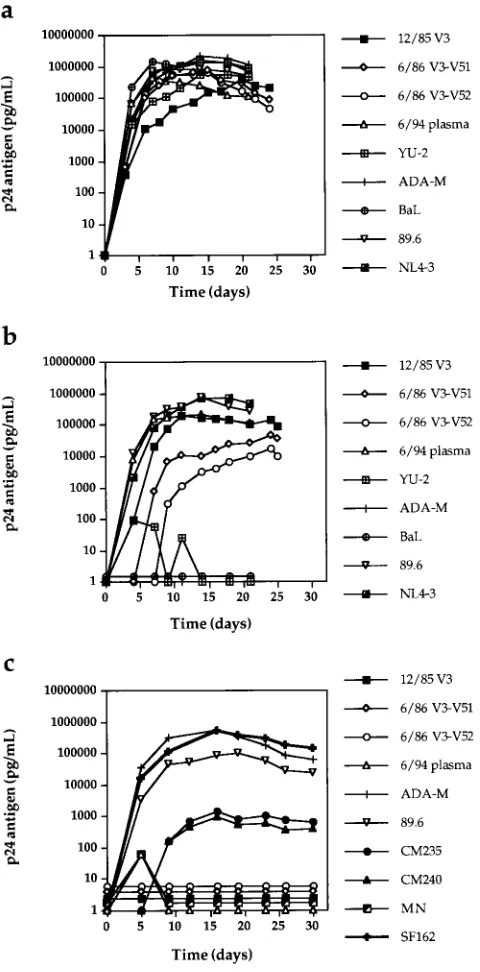 FIG. 4. Replication kinetics of viral stocks in CCR5PBMC-derived viral stocks were used to infect PHA- and IL-2-stimulated PBMCand monocyte-derived macrophages, respectively