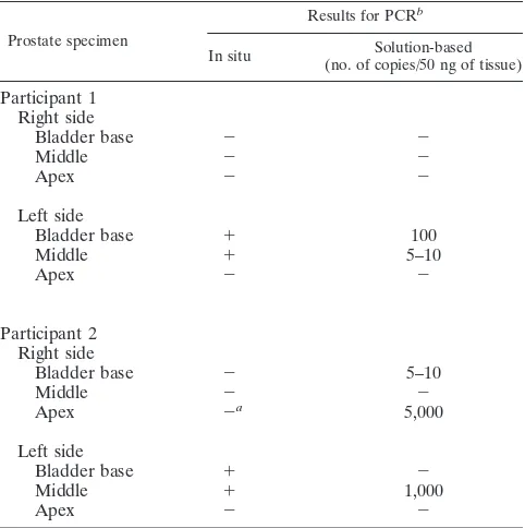 TABLE 2. Localization and quantiﬁcation of HHV-8 in prostate byin situ PCR and solution-based PCR