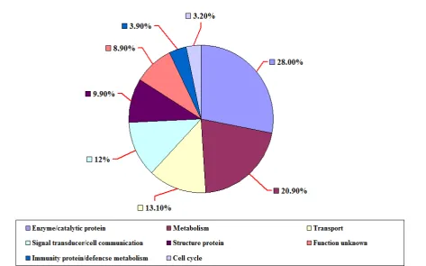 Figure 3. cDNA size fractionation by CHROMA SPIN-400 and Recombinant clones screening