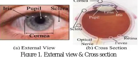 Figure 1. External view & Cross section 