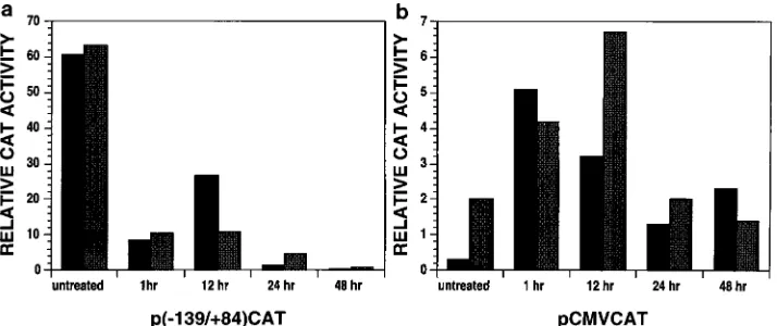 FIG. 3. Time course of RA-mediated repression. (a) THP-1 monocytic cells were treated for the indicated times with 10�were then cotransfected with p(independent experiments are shown