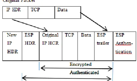 Figure 1.Authentication header 