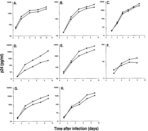 FIG. 6. Replication of wild-type (squares) and vprand B [PBMC-2]), MDMs (D [MDM-1], E [MDM-2], and F [MDM-3]), primary MG (G [MG-4] and H [MG-5]), and CEM-CCR5 cells (C) were challenged withnormalized virus stocks produced by transfection of 293T cells
