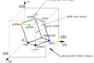 Fig. 1: RGB cube in the YCbCr color space 