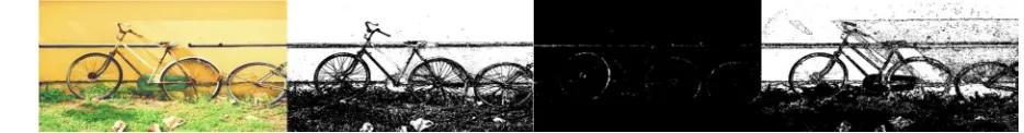 Fig. 2: (a) Blurred image (l = 25, a = 0) with semi distinct foreground and background (b) Y component (c) Cb component (d) Cr  component 