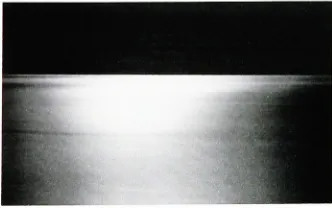 byfig.12night sea scenery illuminatedI flashed the light onto a field, the moonlight