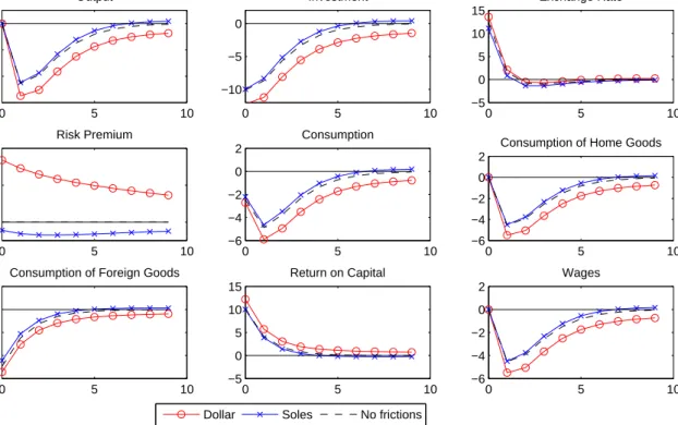 Figure 4: Impulse Response to a World Interest Rate Shock Consistent with a 600 Basis Point Increase in EMBI