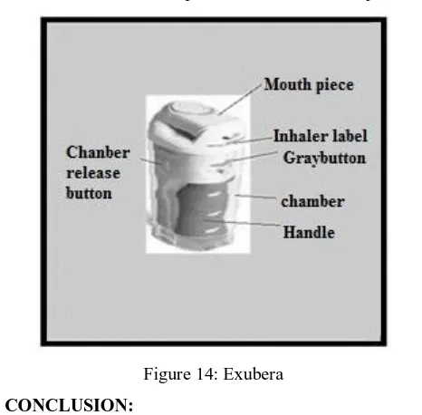Figure 14: Exubera 