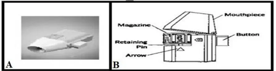 Figure 6: Aerohaler A) Pictorial Representation B) Schematic Diagram 