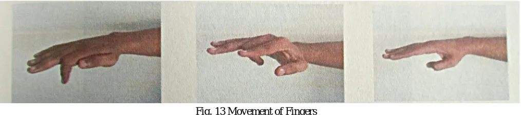 Fig. 13 Movement of Fingers 