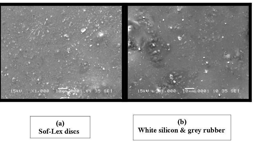 Fig.28.1c: SEM Photomicrographs (1000x magnification) showing surface texture of 