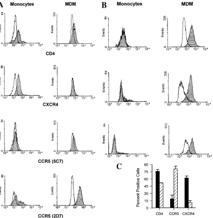 FIG. 3. Surface expression of HIV-1 receptors on monocytes and MDM. Freshly isolated PBMC and MDM cultured for 5 days were stained with MAb speciﬁc forCD4, CXCR4 (MAb 12G5), or CCR5 (MAb 2D7 and 5C7) and analyzed by two-color ﬂow cytometry