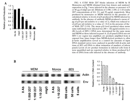 FIG. 4. CCR5 MAb 2D7 blocks infection of MDM by HIV-1Monocytes and MDM obtained from four donors and analyzed for coreceptorexpression in Fig