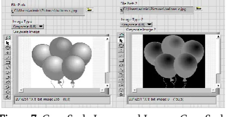 Figure 7. Gray Scale Image and Inverse Gray Scale 