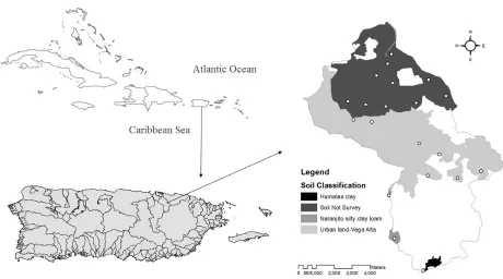 Figure 1: The Rio Piedras watershed located at the north east part of the island is the most urbanized watershed in Puerto Rico