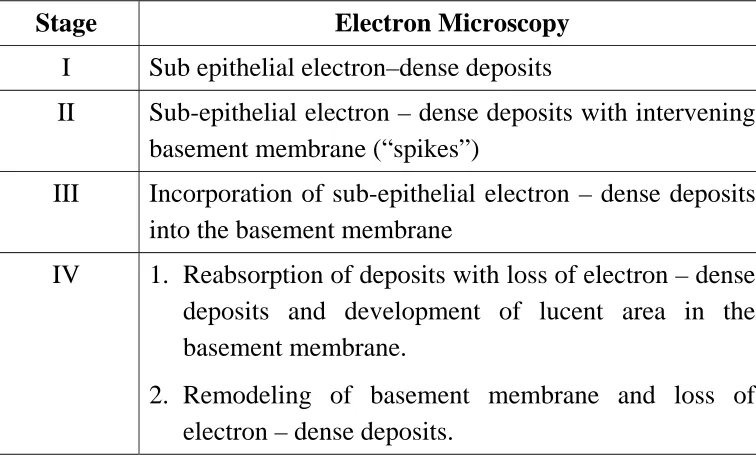 Table 2. Pathological Staging of Membranous Nephropathy 