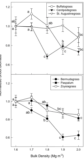 Figure 4.  Normalized shoot biomass for six warm season turfgrass species.  Data for for that species