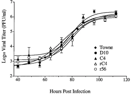 TABLE 5. Sequences of UL56 from drug-resistant virus isolates