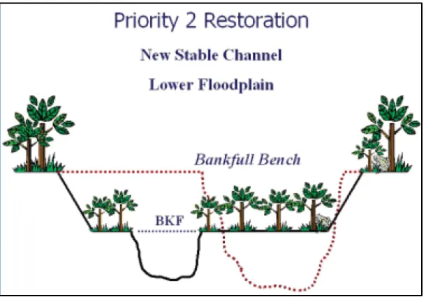 Figure 1-2.  Cross-section of Priority 2 restoration (from Doll et al., 2003). 