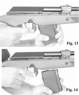 Fig. 13 