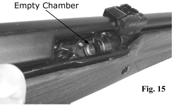 Fig. 15 