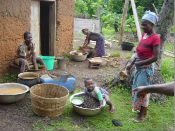 Figure 8: Gbogame women processing palm kernels to make oil for additional income. 