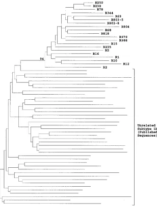 FIG. 1. Phylogenetic analysis of E1 and E2 sequences from anti-D recipients and subtype 1b isolates