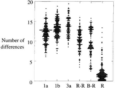 FIG. 3. Scatter plot of the number of amino acid differences between differ-ent groups of HVR sequences