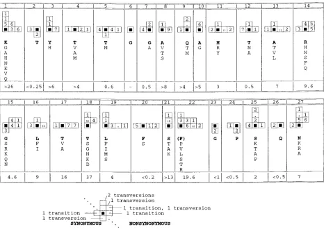 FIG. 4. Pattern of nucleotide substitution within the HVR. The number and type of substitutions occurring in different recipients at each codon of the HVR aresummarized schematically