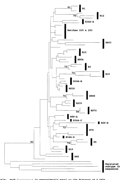 FIG. 5. Phylogenetic analysis of the HVR ﬂanking region at synonymous sites. Evolutionary distances between sequences at synonymous sites between positions1096 to 1150 and 1231 to 1458 were calculated with the Jukes-Cantor correction for representative sequences from different anti-D recipients (R), two infectious batches