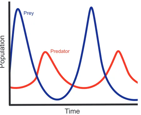 Figure 3.4: A two-dimensional graph of the relationship between predator and prey populations.