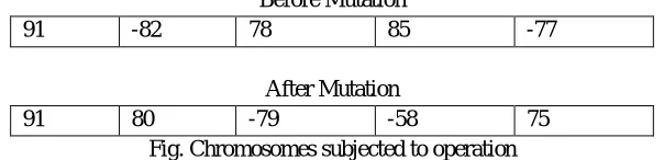 Fig.3. Chromosome representation 