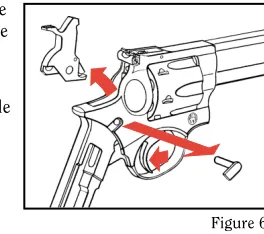 Figure 6).Figure 6