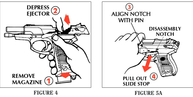 FIGURE 5B