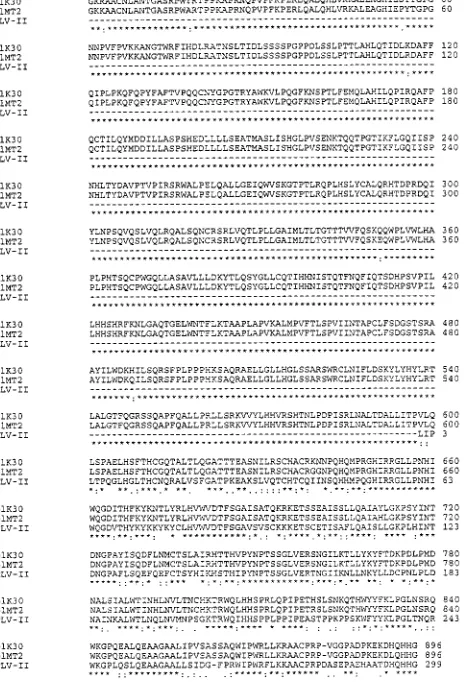 TABLE 1. PCR primers for ampliﬁcation of HTLV-1 RT DNAa