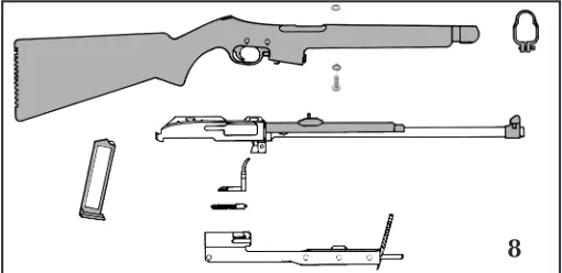 Fig. 10)