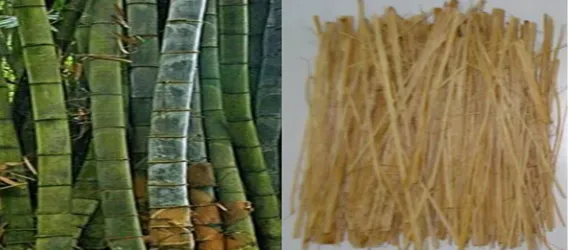 Figure 3.1 Short bamboo fibers 
