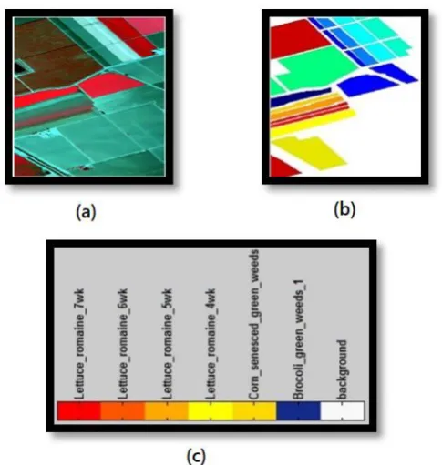 Figure 1. Dataset of Salinas (a) RGB image composite, (b) Ground- truth map, (c) Color code of different classes 