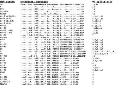 FIG. 1. Comparison of C-terminal sequences of MMTV Sag molecules and their TCR V�C3H MMTV sequence