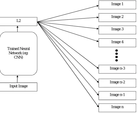 Fig.4. Image Visualization Process 