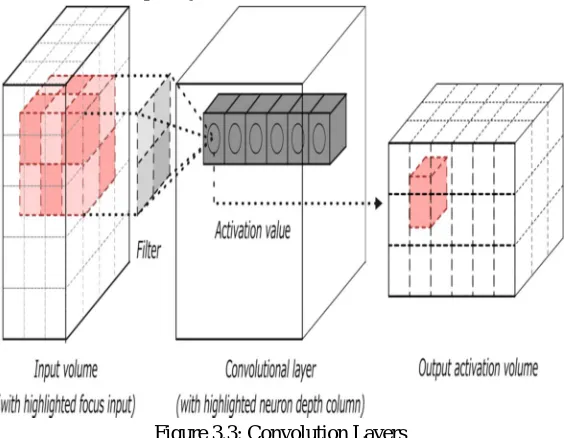 Figure 3.2: Input layer 3D volume 