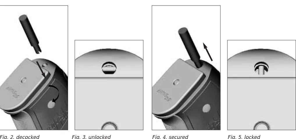 Fig. 2, decocked