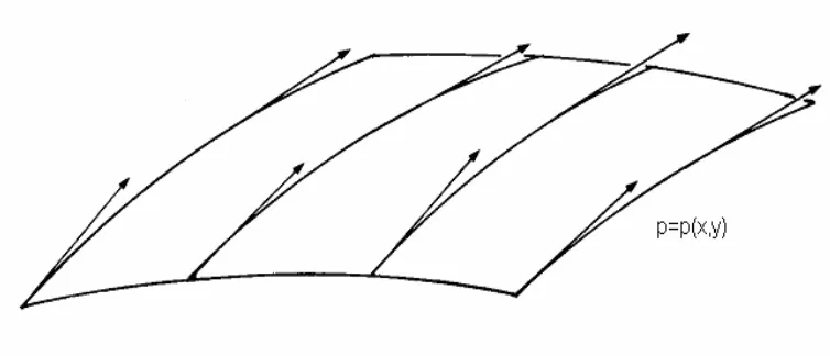 Figure 2.4 A solution surface for p =p(x,y) made up of characteristic curves, each of which is 