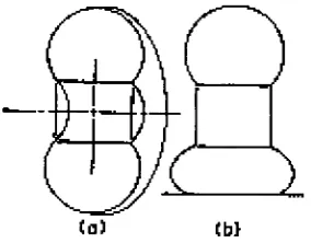 Figure 7 Toroidal membrane on cylindrical rim [1] pg. 396