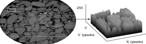 Fig. 1   (a) Original slice  