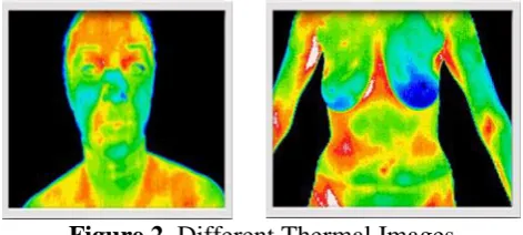 Figure 2.      Different Thermal Images  