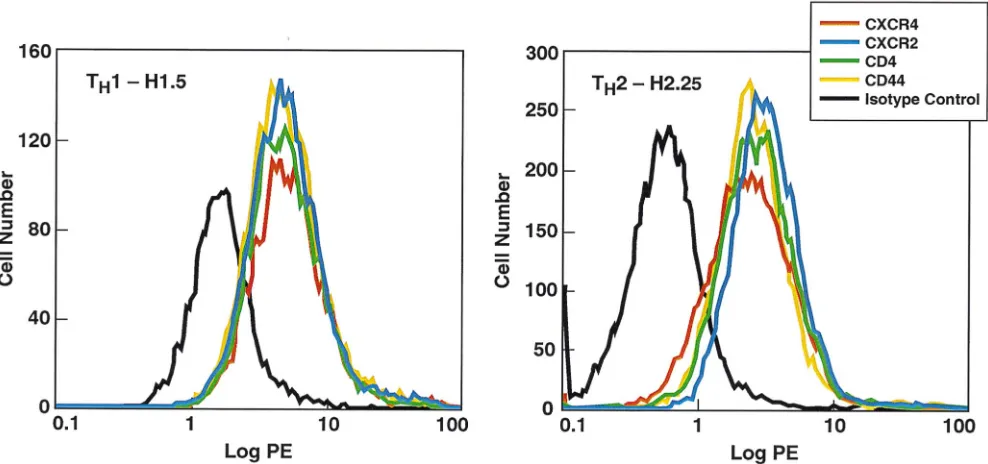 TABLE 3. Chemokine receptor expression by human TTx-speciﬁc TH1 and TH2 clonesa
