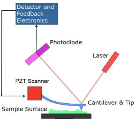 Figure 1.2 Schematic representation of the principle of atomic force microscopy.  