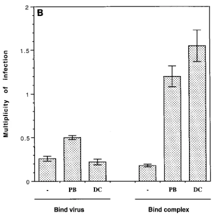 FIG. 3. Order of combination and effects on virus internalization. (A) Trans-duction rates (MOI/40 min) were determined for preincubation of 1:10-diluted